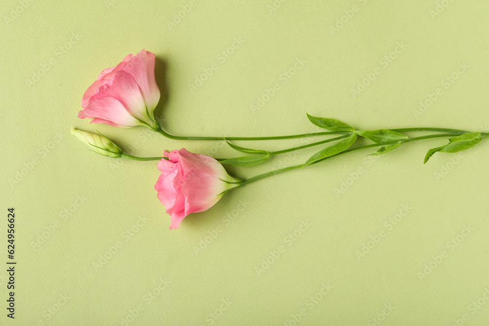 Beautiful pink eustoma flowers on green background