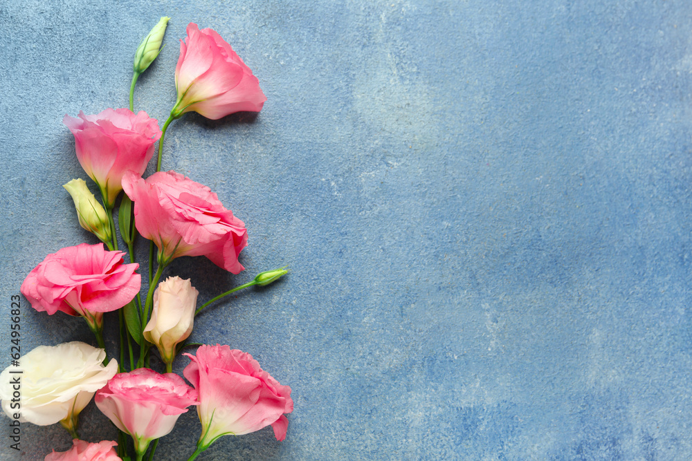 Beautiful pink eustoma flowers on blue background