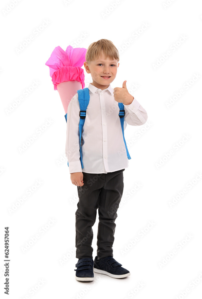 Little boy with backpack and pink school cone showing thumb-up gesture isolated on white background