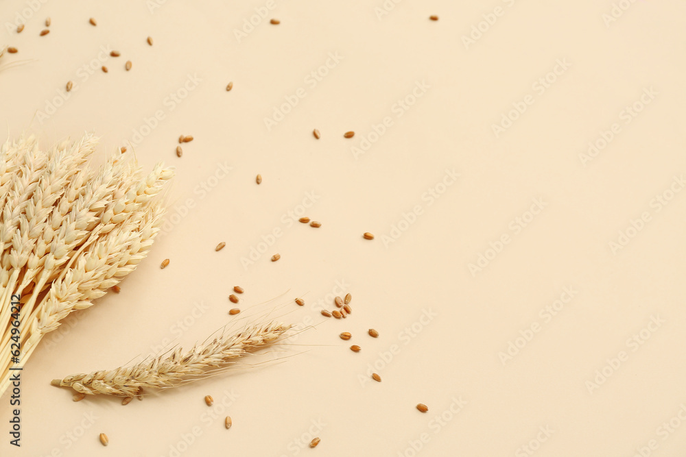 Wheat ears and grains on beige background