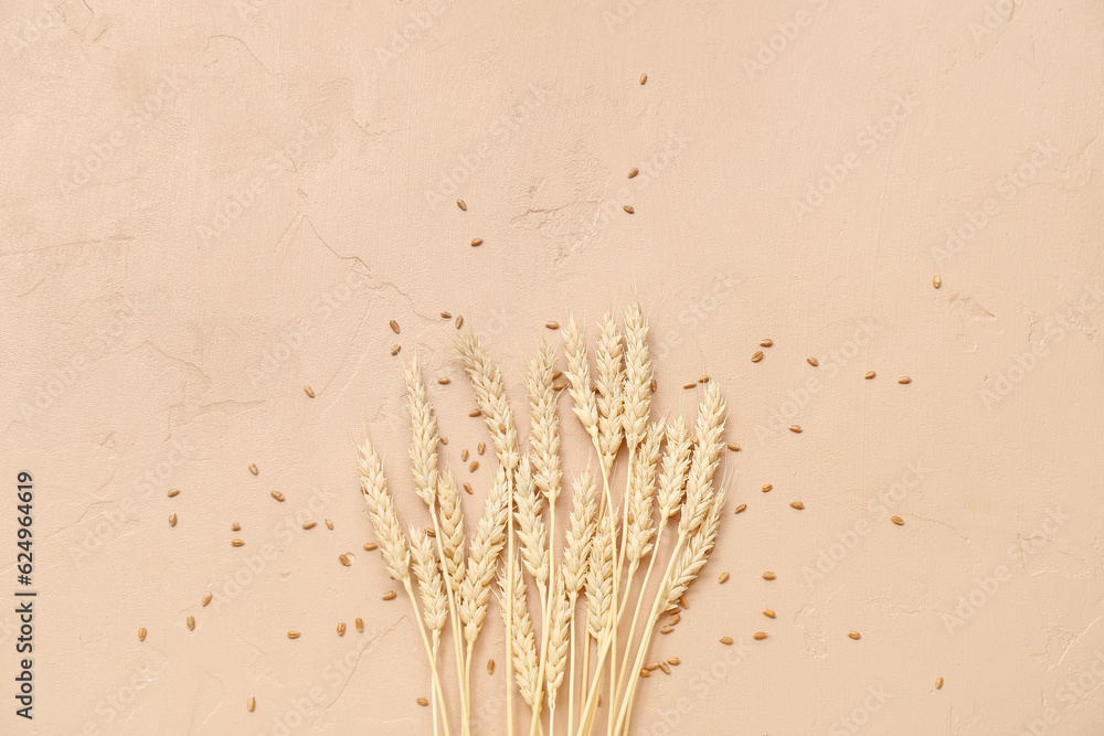 Wheat ears and grains on beige background