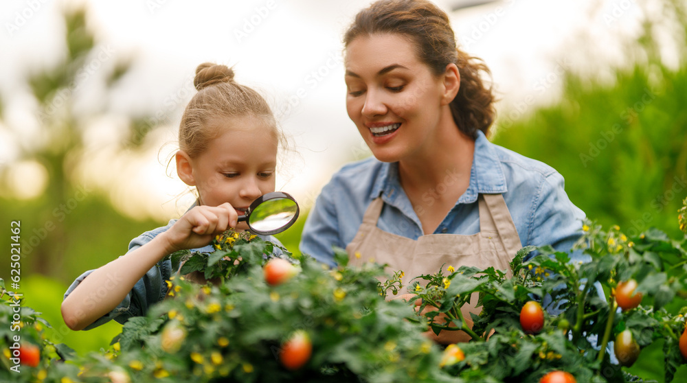 mother and daughter gardening in the backyard