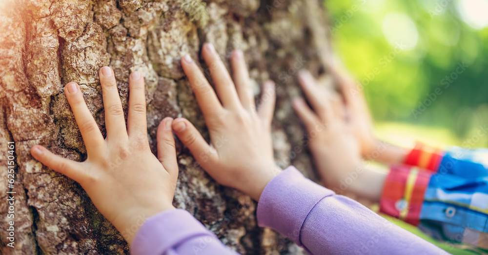 Childrens hands touching tree trunk in the natural park.