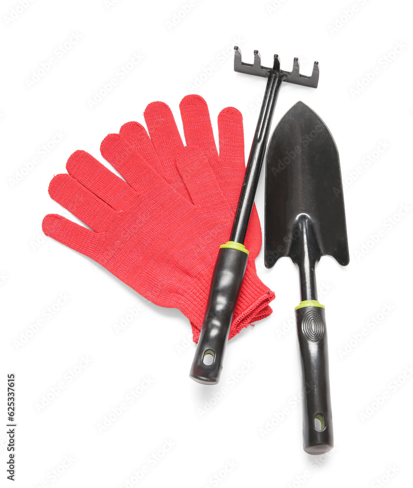 Different gardening tools on white background