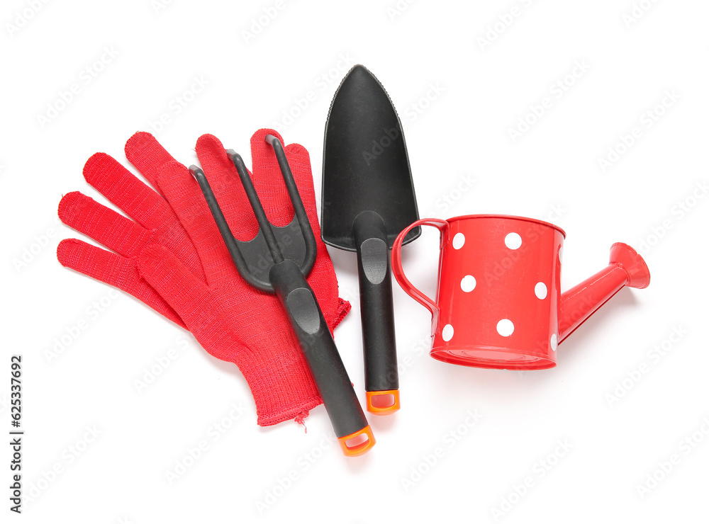 Different gardening tools on white background