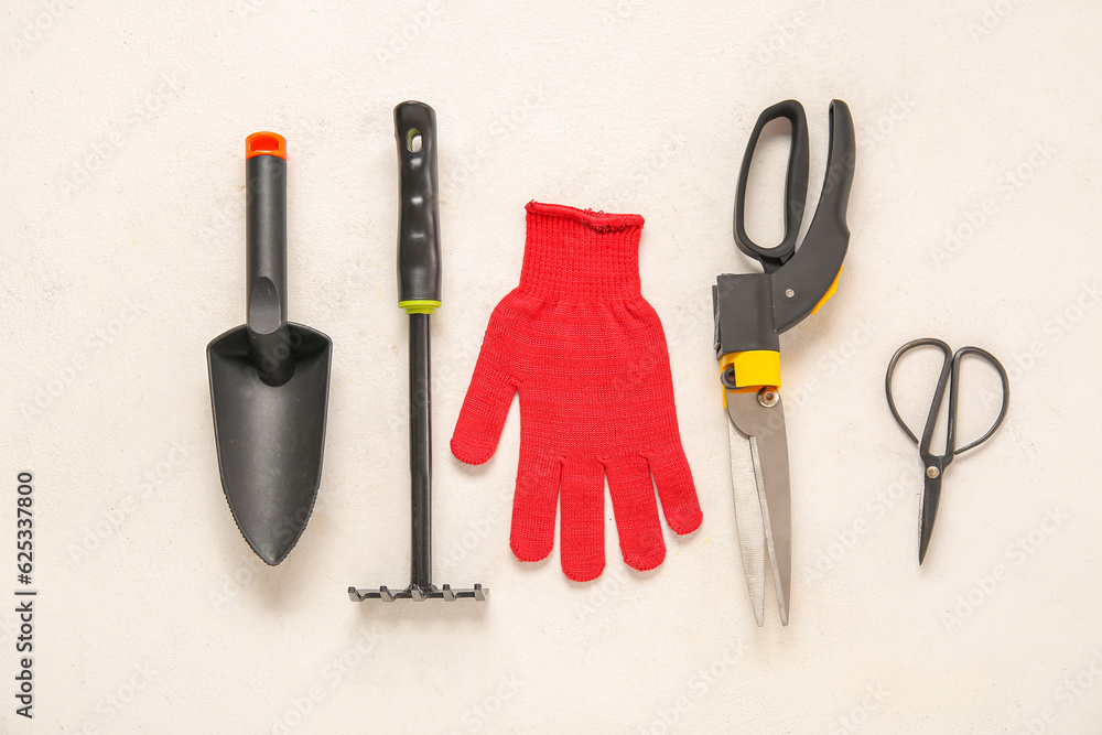 Different gardening tools on light background