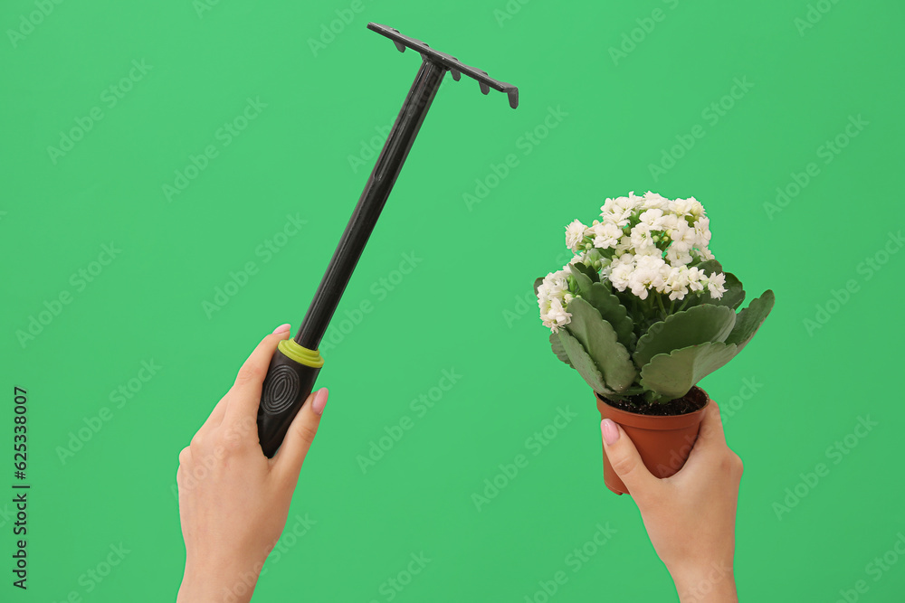 Woman with gardening rake and plant on green background