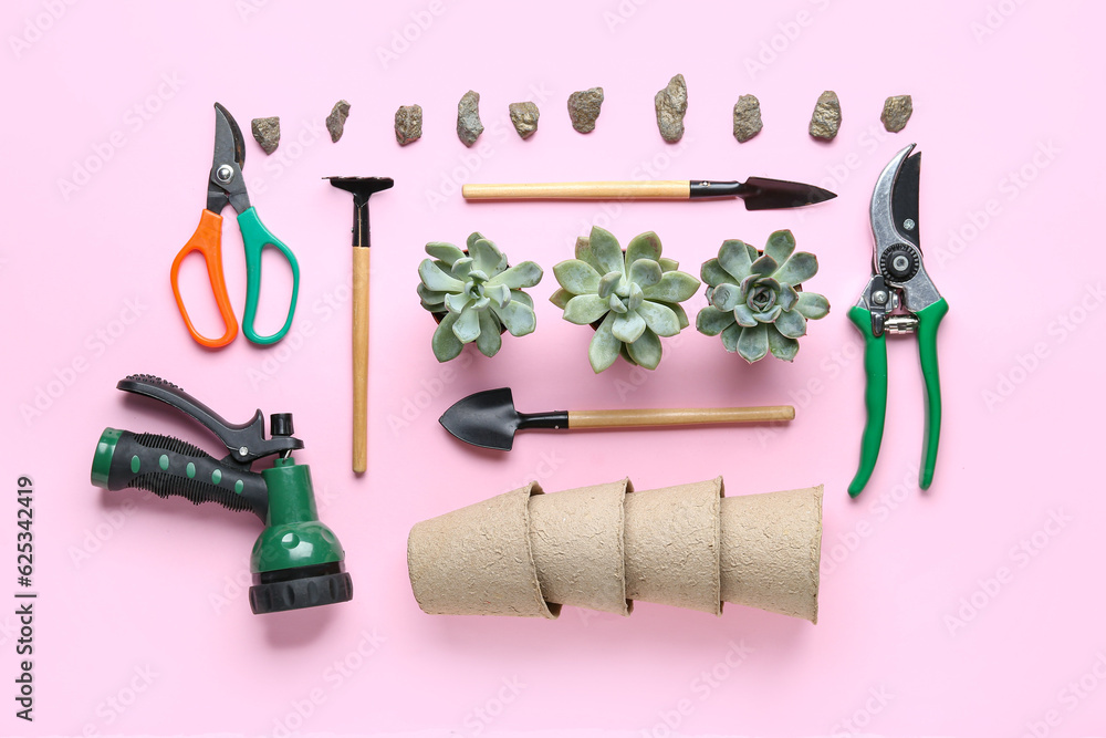 Composition with gardening tools and succulent plants on pink background