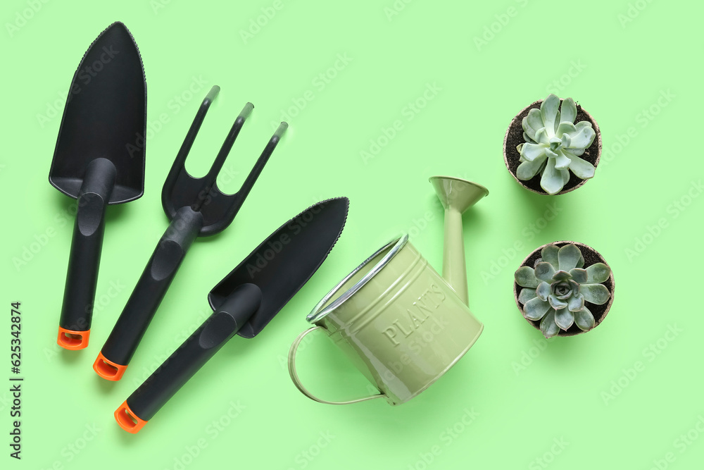 Gardening tools and succulent plants on green background