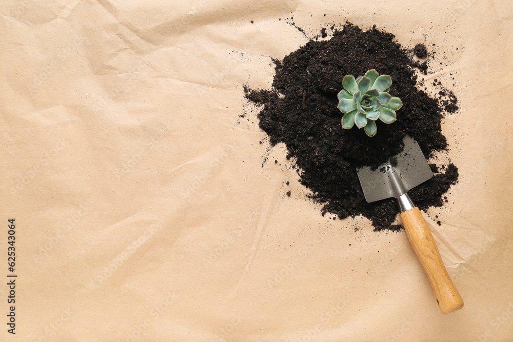 Soil with succulent plant and shovel on craft paper background