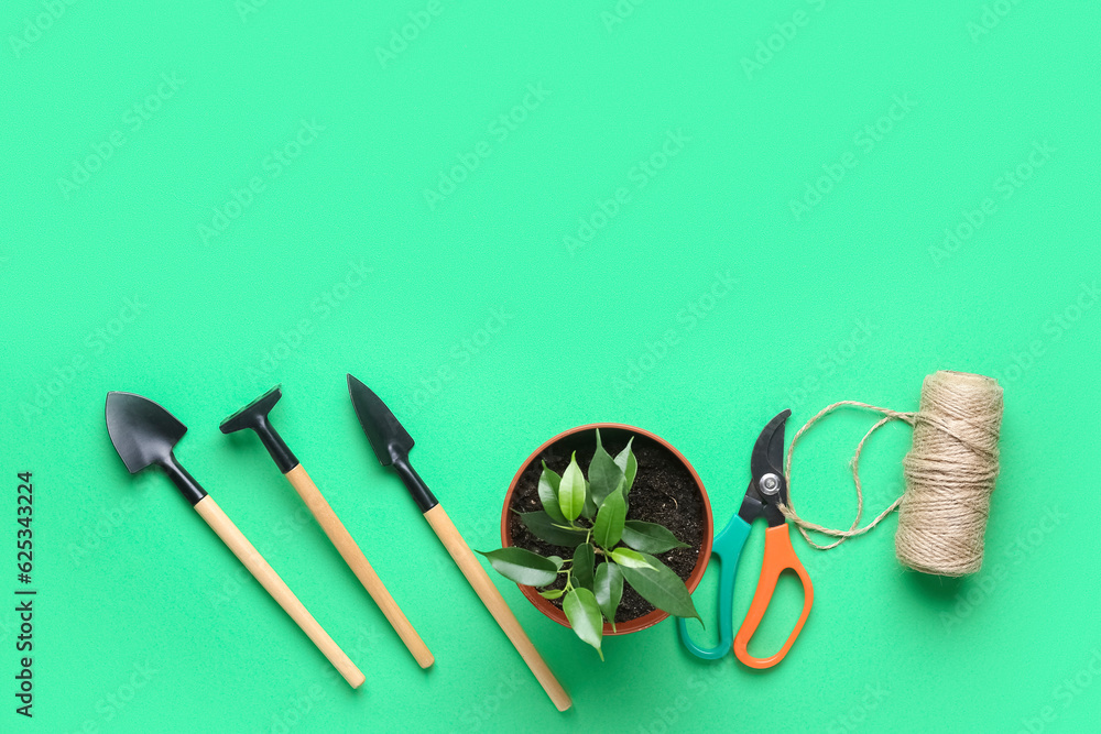 Gardening tools and plant on green background