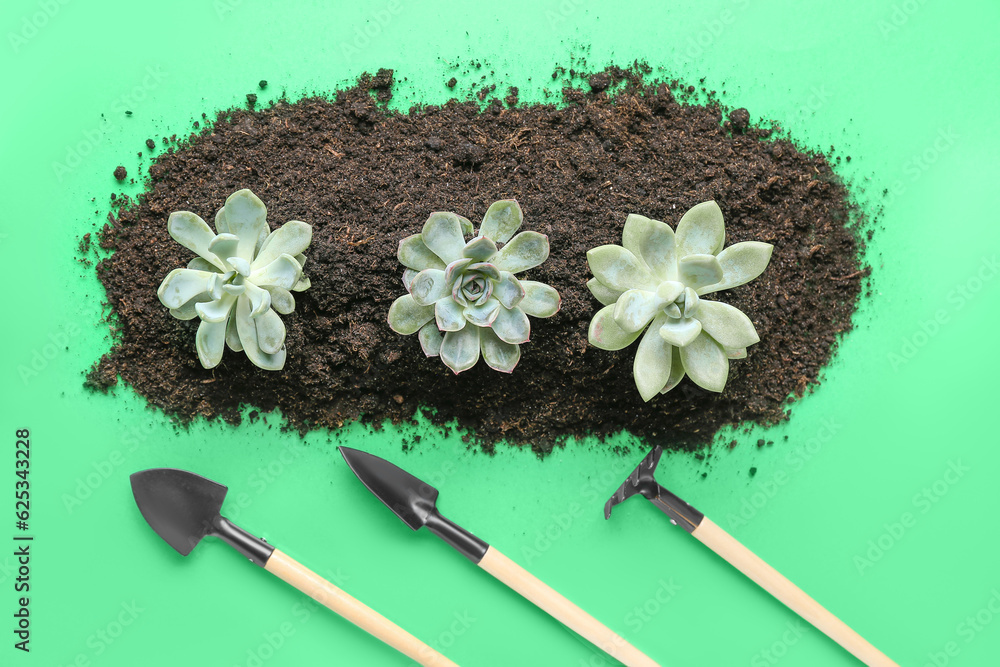 Gardening tools and succulent plants in soil on green background