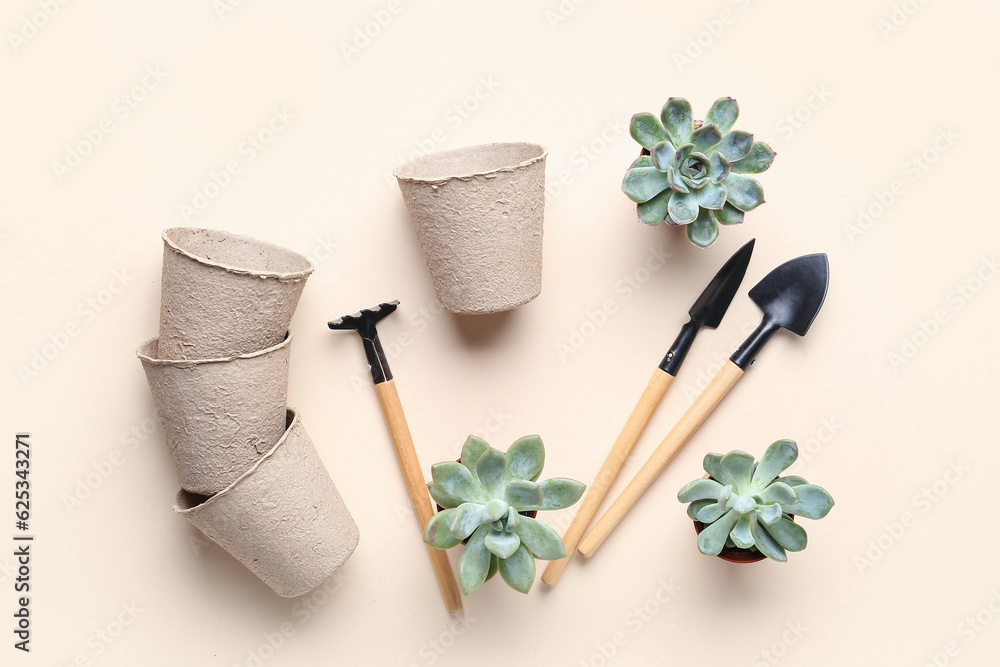 Gardening tools, peat pots and succulent plants on beige background