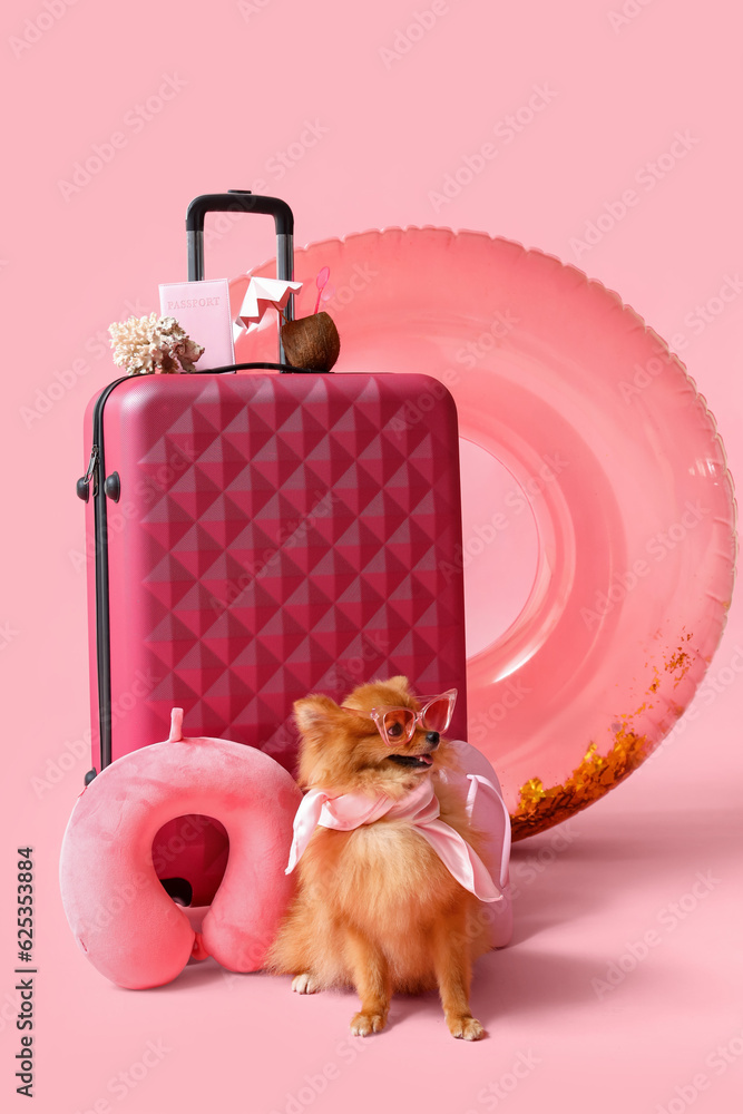 Cute Pomeranian dog with suitcase and beach accessories on pink background