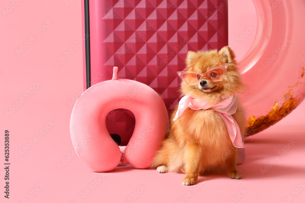 Cute Pomeranian dog with suitcase and beach accessories on pink background