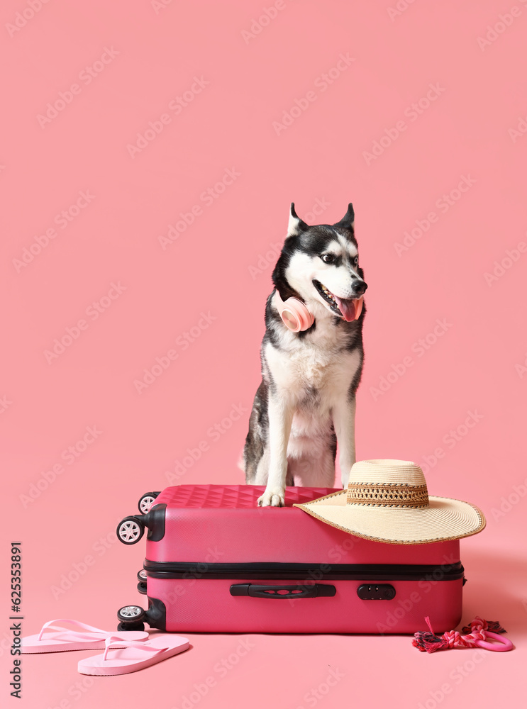 Cute Husky dog with suitcase and beach accessories on pink background