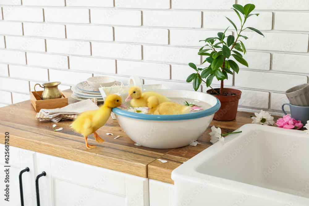 Bowl with water and cute ducklings in kitchen