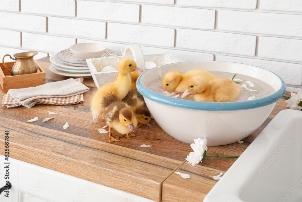 Bowl with water and cute ducklings in kitchen