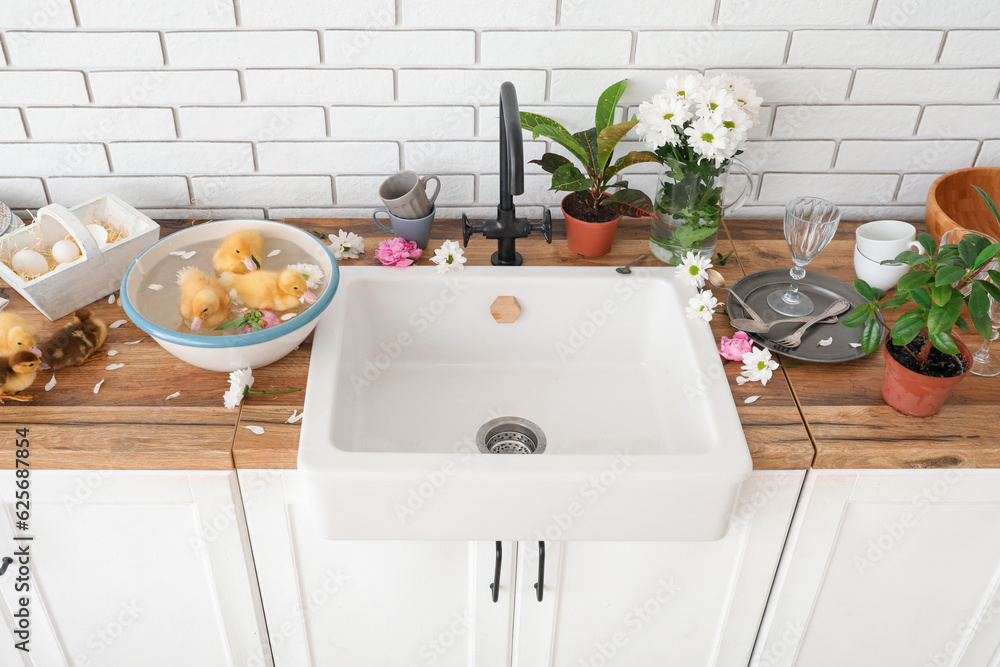 Bowl with water and cute ducklings in kitchen