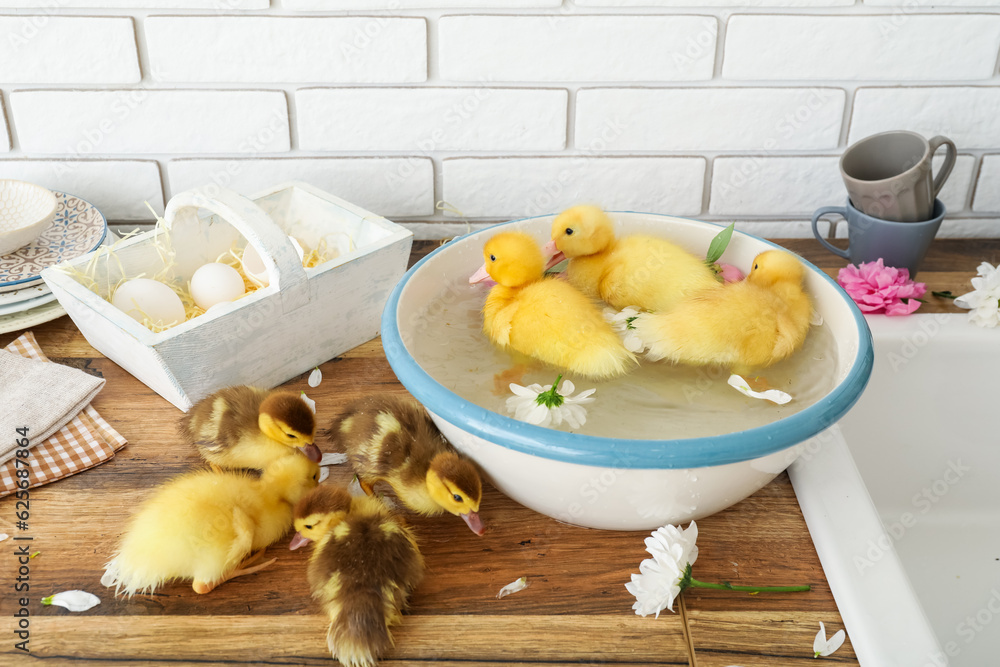 Bowl with water and cute ducklings in kitchen