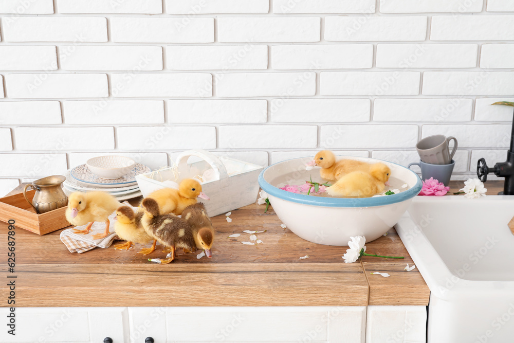 Bowl with water and cute ducklings in kitchen