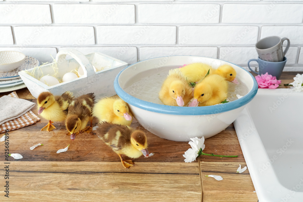 Bowl with water and cute ducklings in kitchen