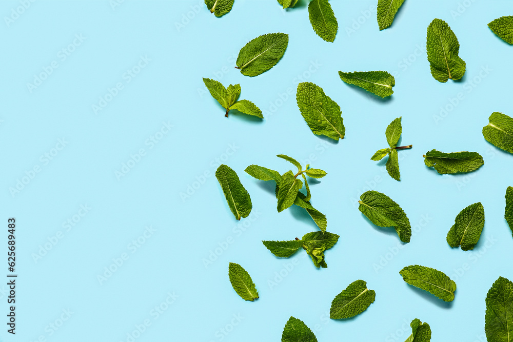 Composition with fresh mint leaves on color background