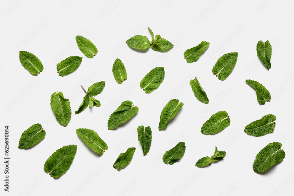 Composition with fresh mint leaves on white background