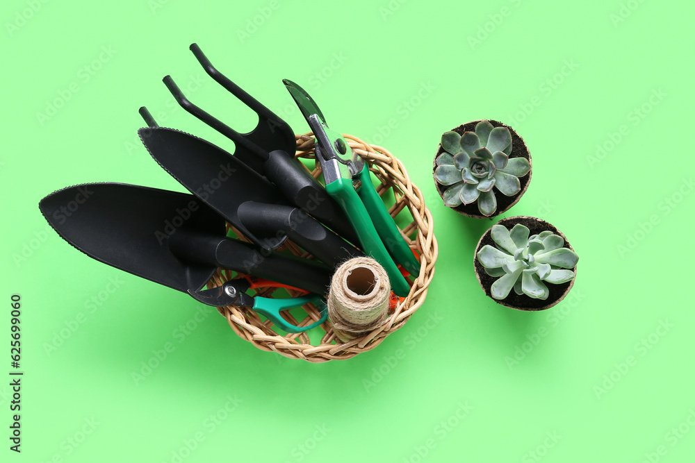 Basket with gardening tools and succulent plants on green background