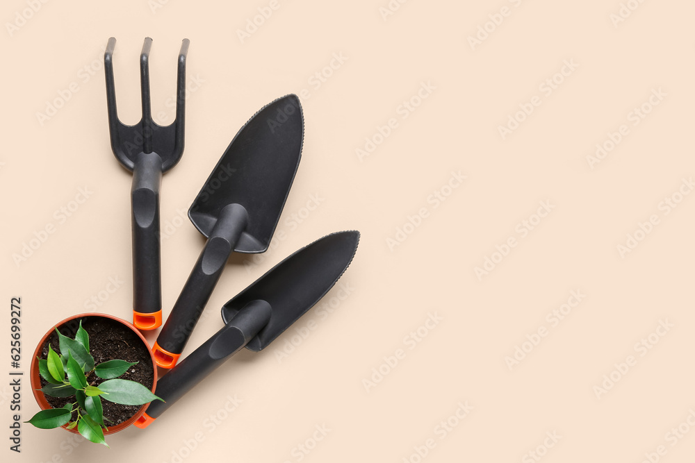 Gardening tools and plant on beige background