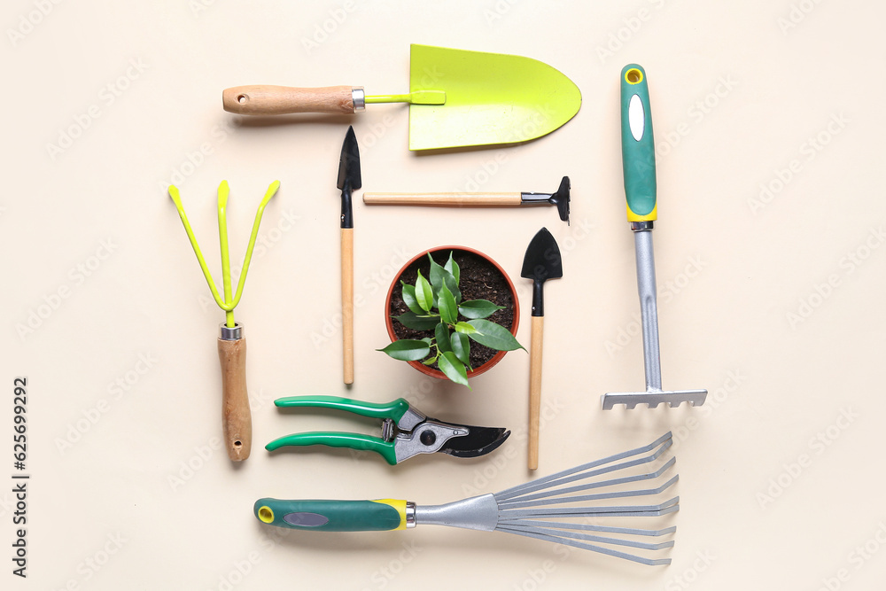 Set of different gardening tools and plant on beige background