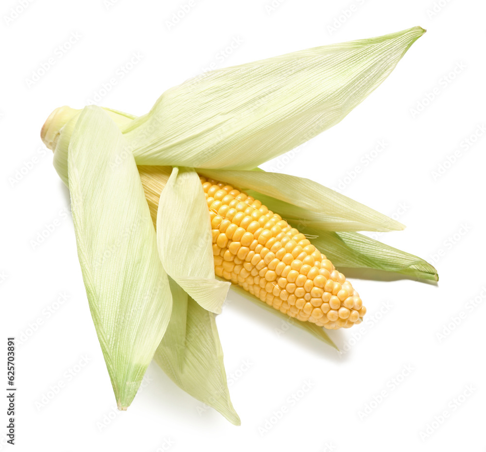 Fresh corn cob on white background