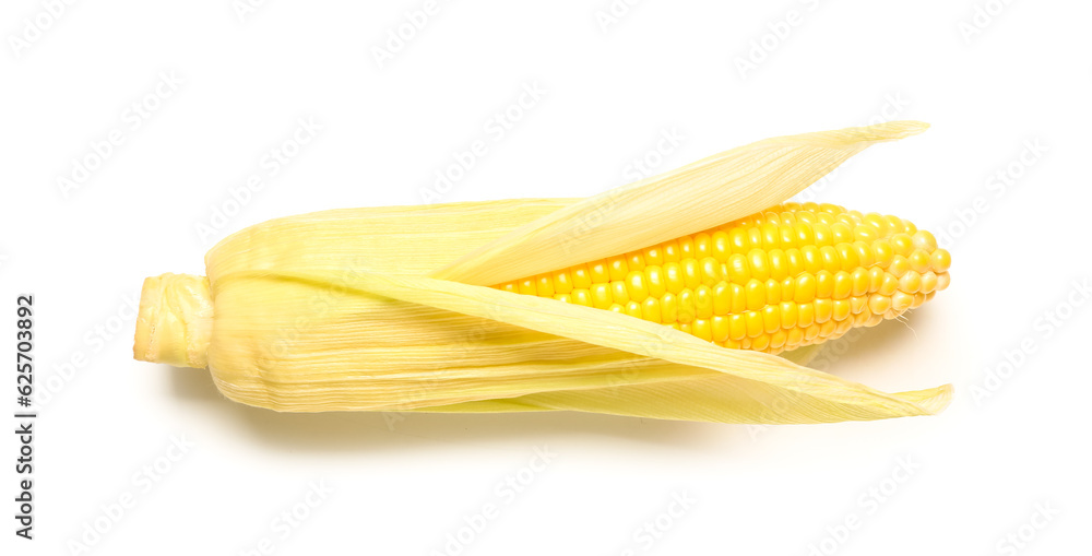 Fresh corn cob on white background