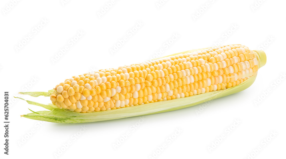 Fresh corn cob on white background