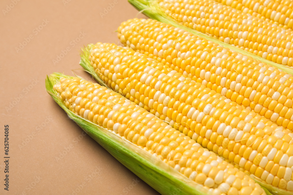 Fresh corn cobs on brown background