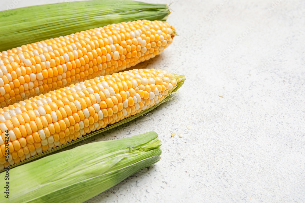 Fresh corn cobs on light background