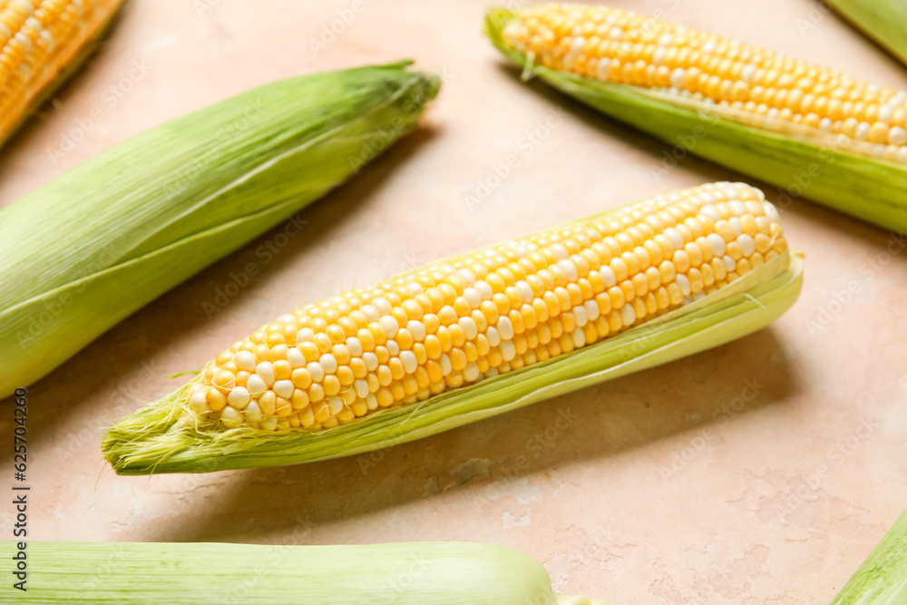 Fresh corn cobs on beige background