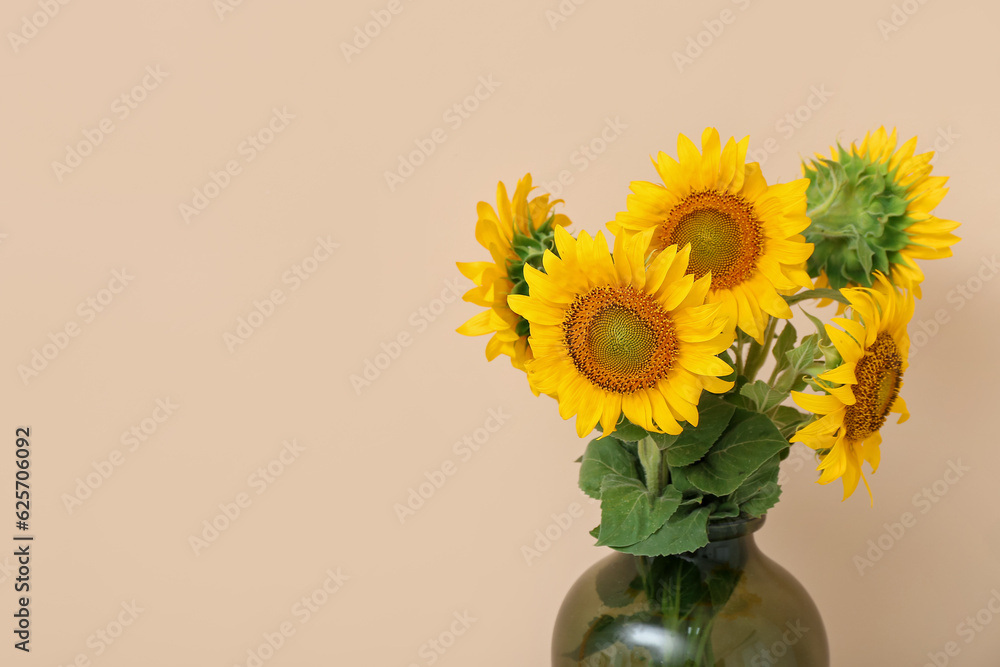 Vase with sunflowers near beige wall, closeup