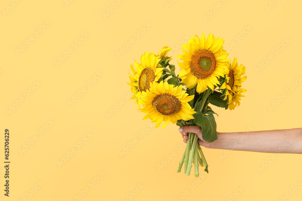 Young woman with beautiful sunflowers on yellow background