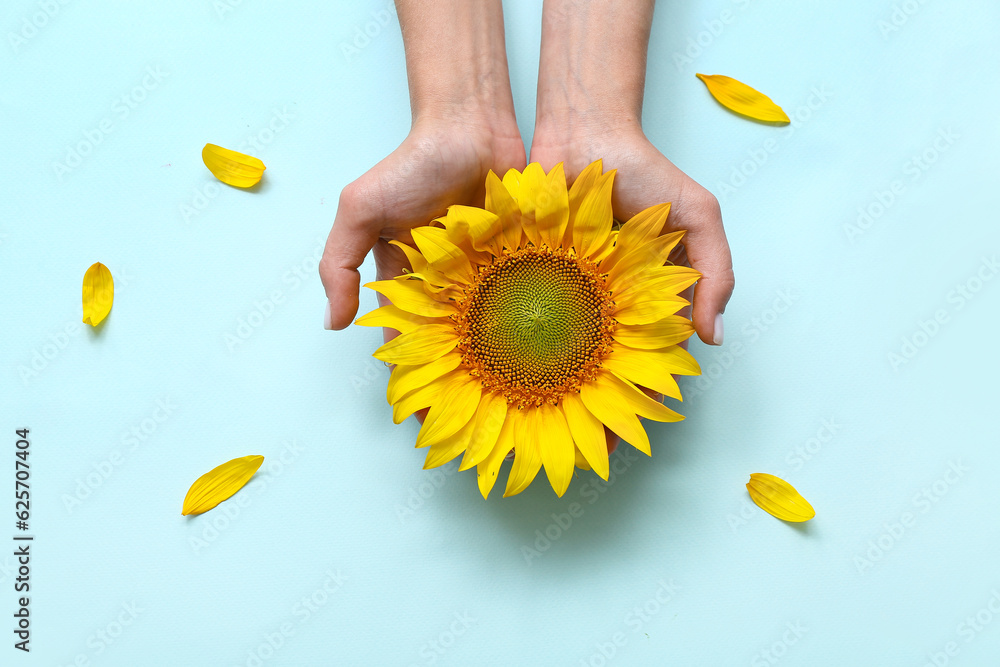 Woman with sunflower on blue background