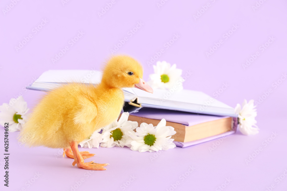 Cute duckling, books and chamomile flowers on lilac background