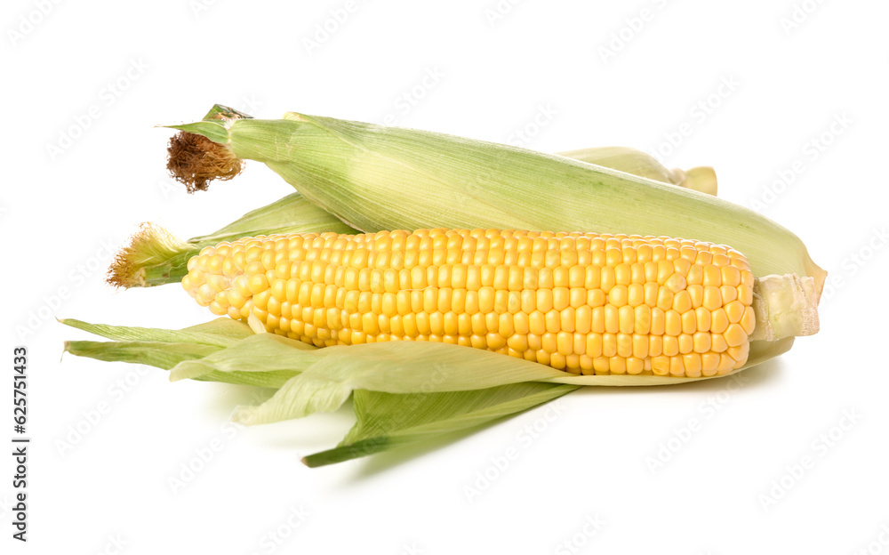 Fresh corn cob on white background