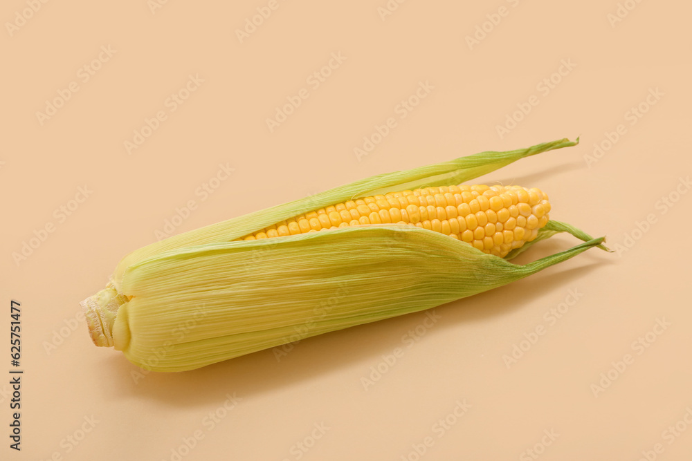 Fresh corn cob on beige background