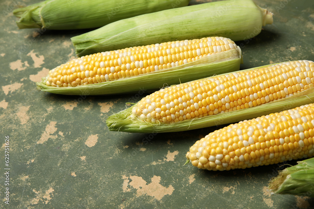 Fresh corn cobs on green background