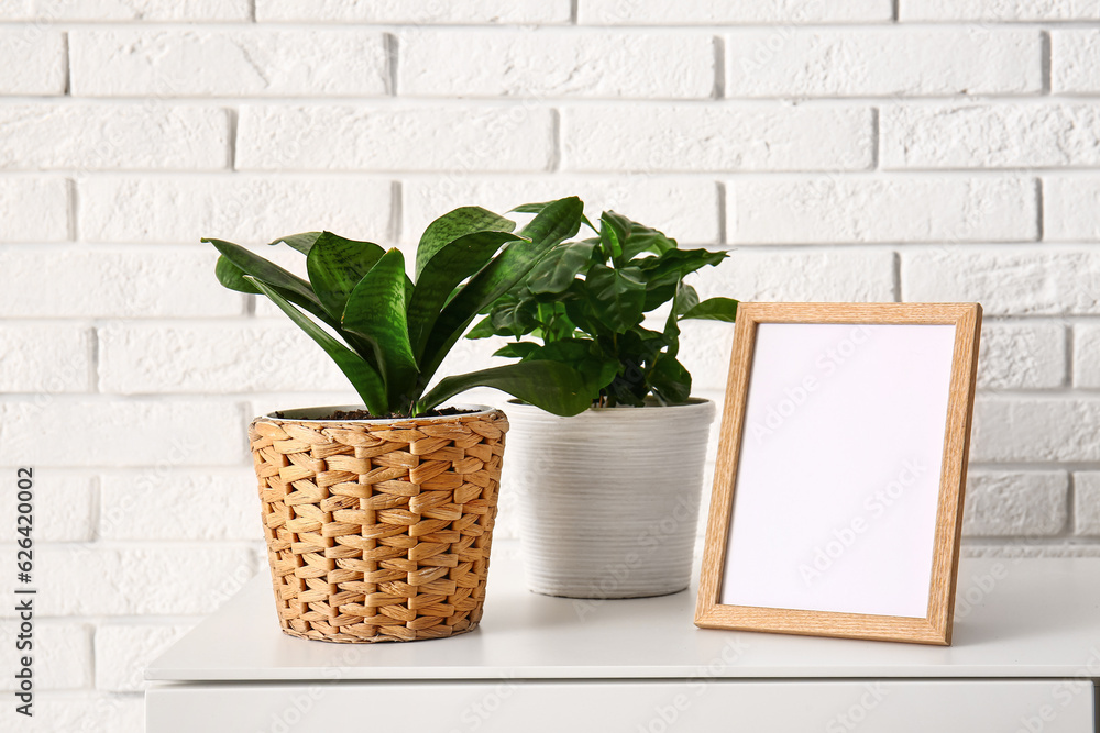 Green houseplants with blank frame on shelf near white brick wall