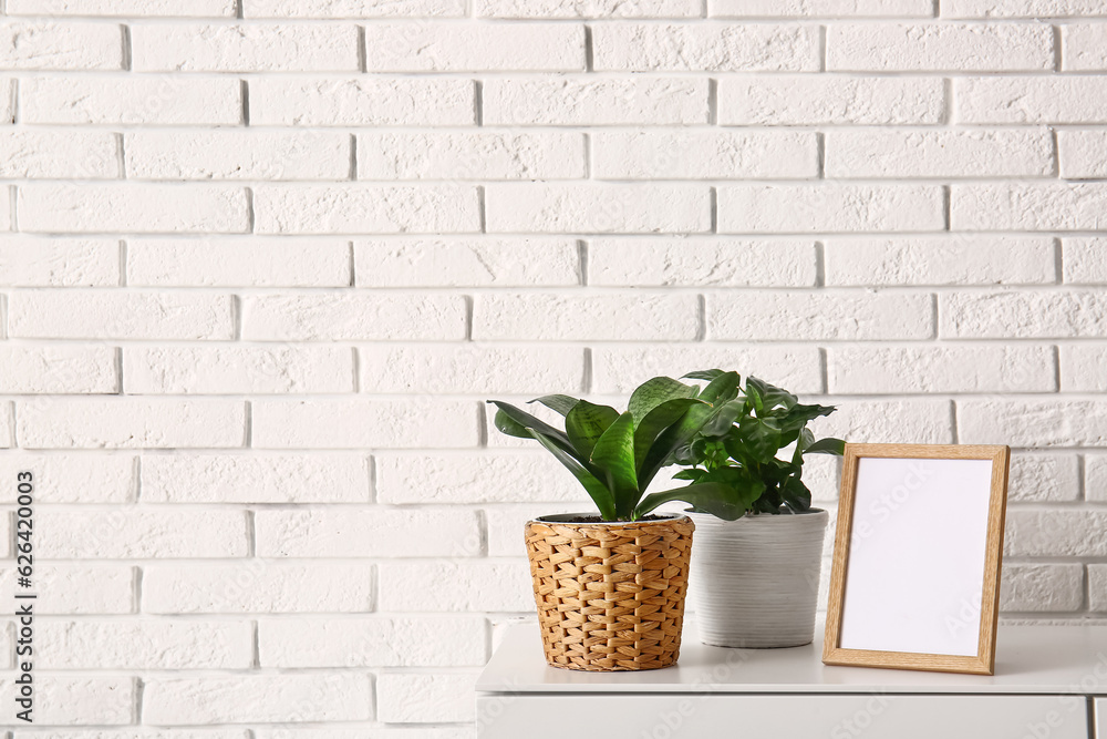 Green houseplants with blank frame on shelf near white brick wall