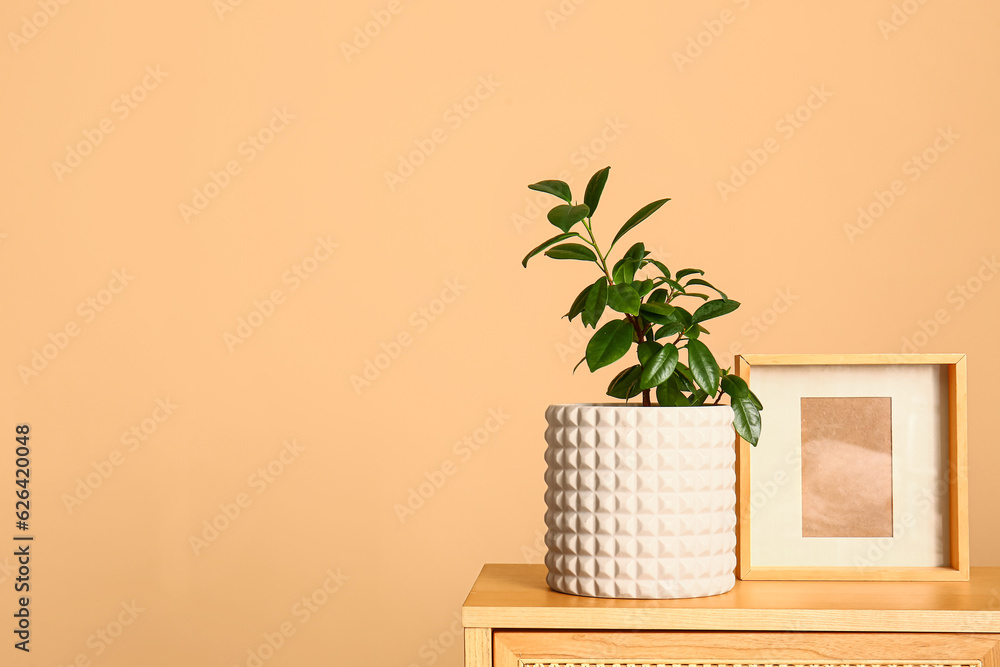 Green houseplant with frame on shelf near beige wall