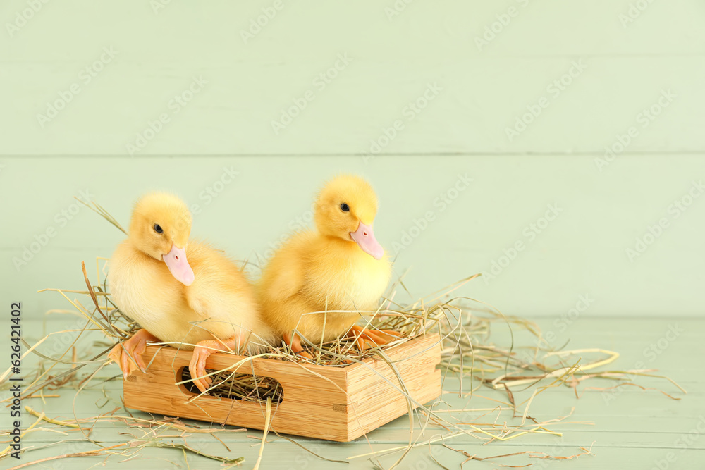 Box with cute ducklings on green wooden background