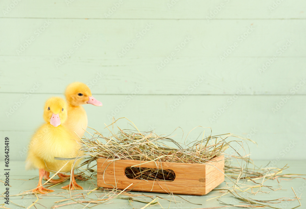 Cute duckling and box on green wooden background