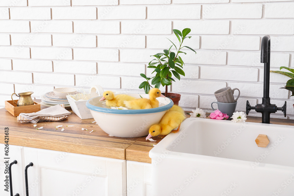 Bowl with water and cute ducklings in kitchen